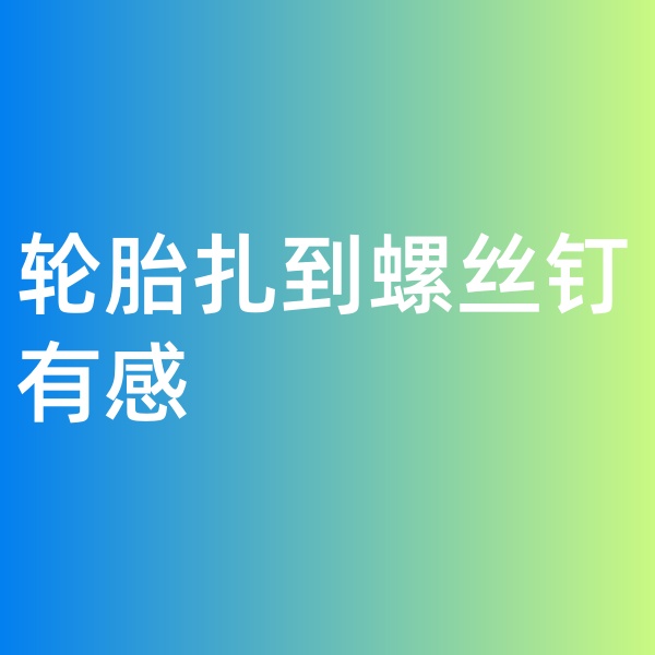 鈀碳回收，輪胎扎到螺絲釘有感